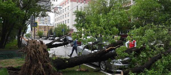 Последствия урагана в Москве Последствия урагана в Москве - Sputnik Тоҷикистон