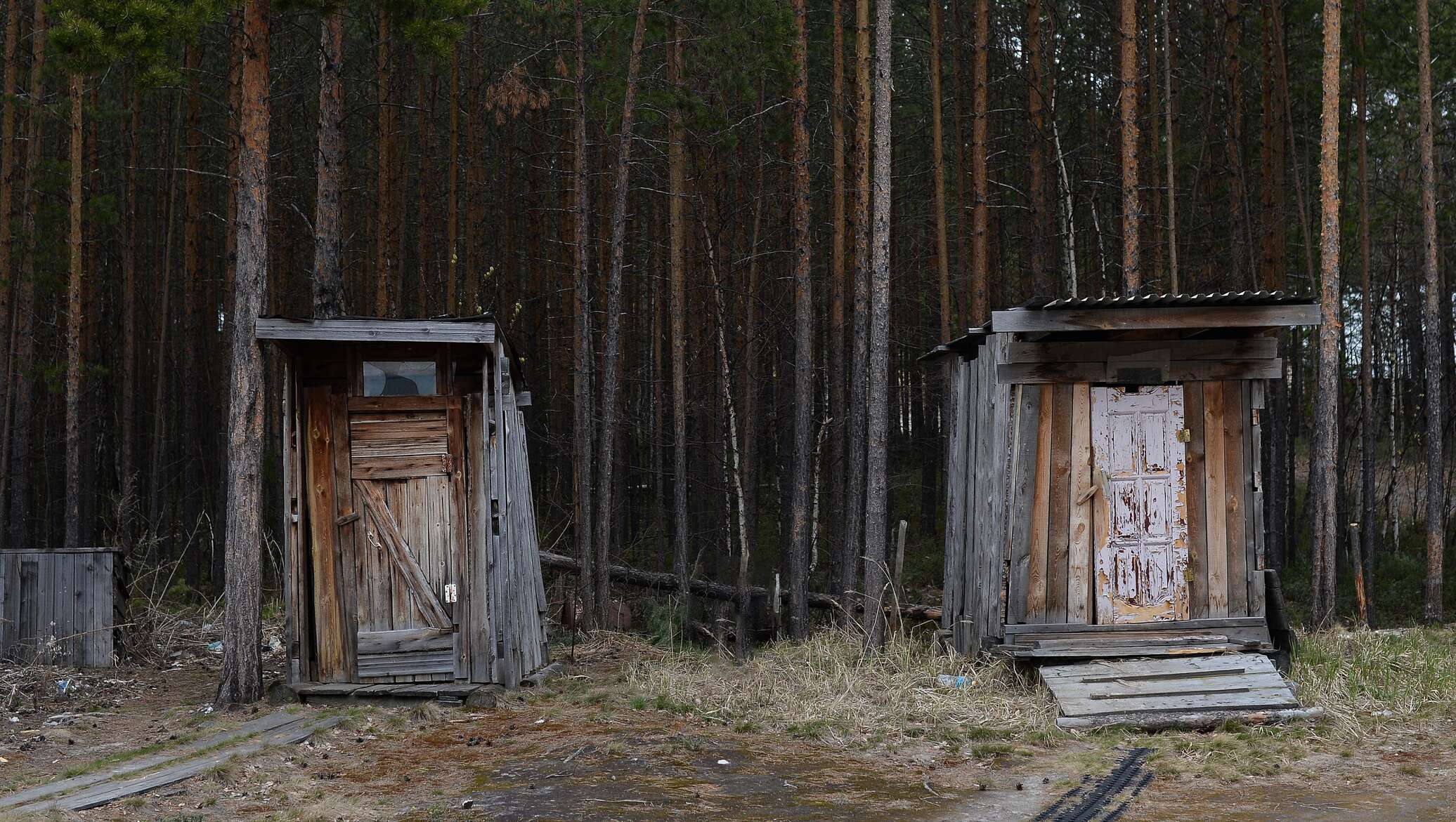 Туалет в поле