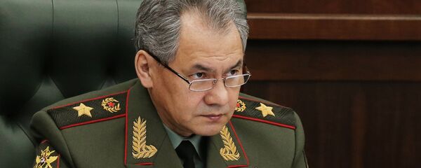 Министр обороны РФ, генерал армии Сергей Шойгу - Sputnik Таджикистан