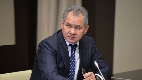 Министр обороны России Сергей Шойгу, архивное фото - Sputnik Таджикистан