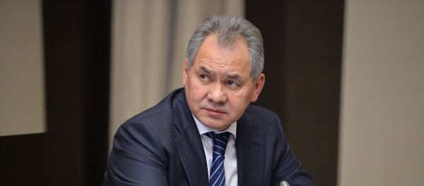 Сергей Шойгу, архивное фото - Sputnik Таджикистан
