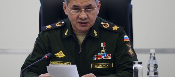 Министр обороны России Сергей Шойгу - Sputnik Тоҷикистон