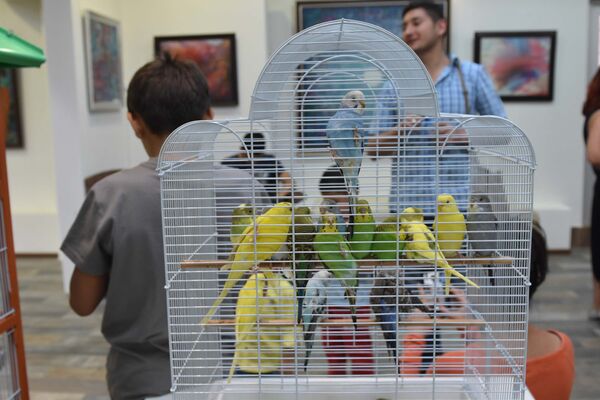 Душанбе, выставка птиц - Sputnik Таджикистан