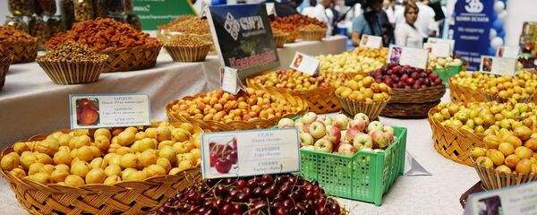 Торгово-экономическая ярмарка-выставка СУГД 2017 - Sputnik Таджикистан