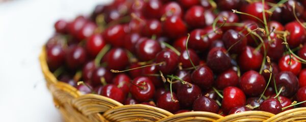 Торгово-экономическая ярмарка-выставка СУГД 2017 - Sputnik Таджикистан