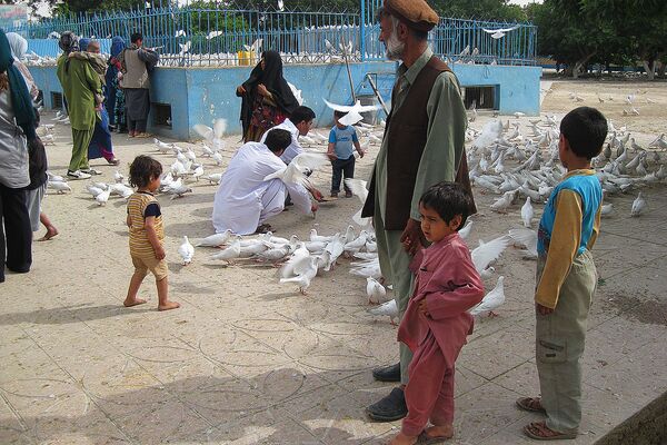 Обилие белых голубей давно превратилось в настоящий бренд Мазари-Шарифа - Sputnik Таджикистан