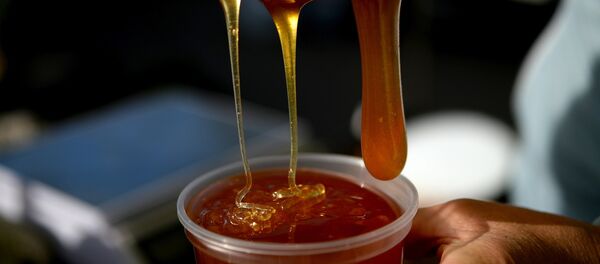 Производство меда, архивное фото - Sputnik Тоҷикистон