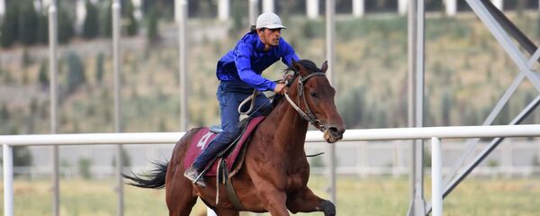 Конные скачки в Душанбе - Sputnik Таджикистан