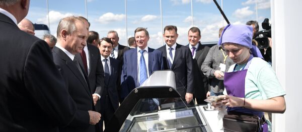 Президент РФ В. Путин посетил Международный авиасалон МАКС-2017 в подмосковном Жуковском Президент РФ В. Путин посетил Международный авиасалон МАКС-2017 в подмосковном Жуковском - Sputnik Таджикистан