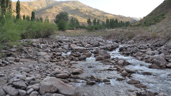 Горная река, архивное фото - Sputnik Таджикистан