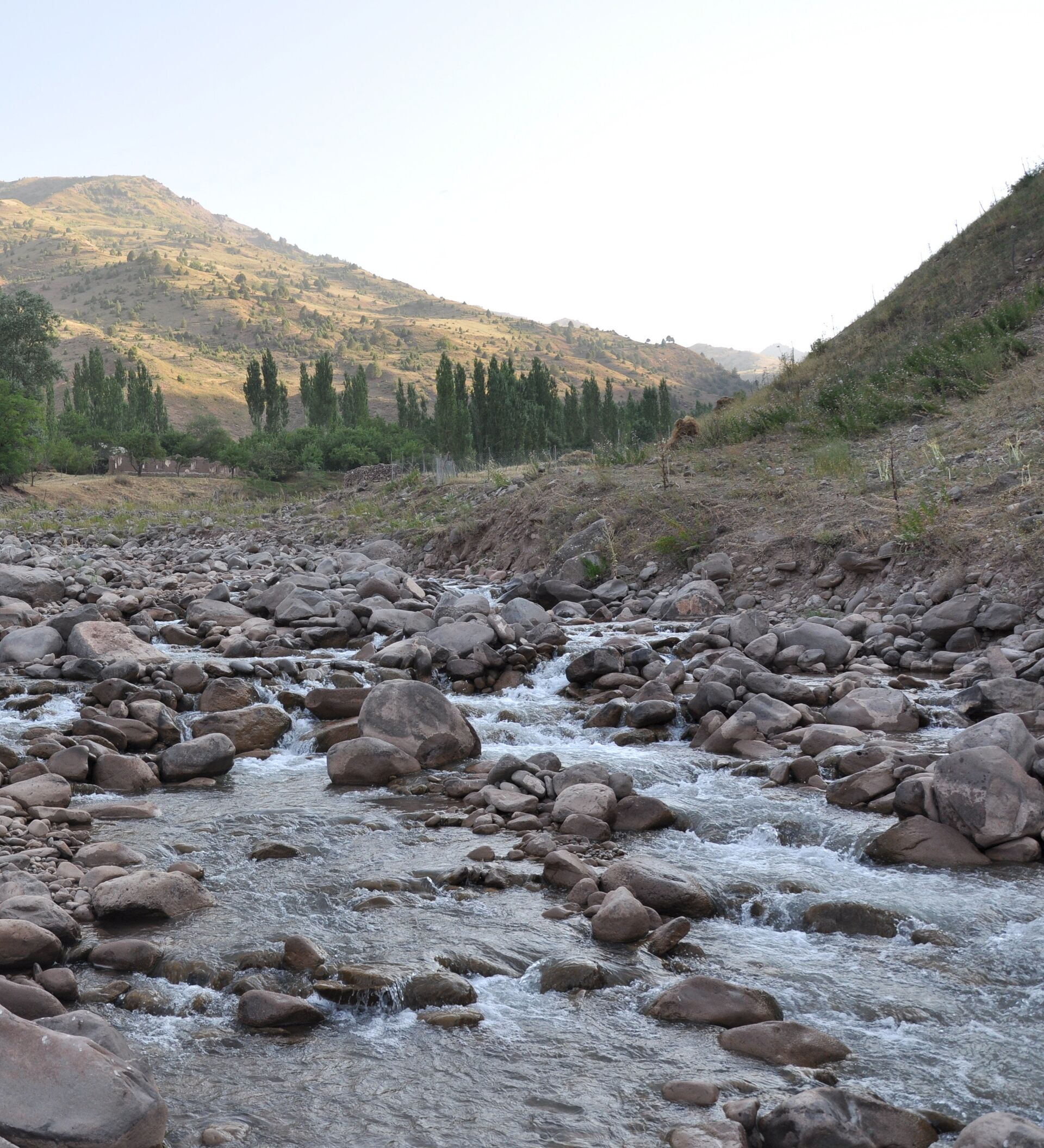 Погода г яван. Яванская Долина Таджикистана. Поселок Яван Таджикистан. Река Явансу. Таджикистан Хатлонская область яванский район.