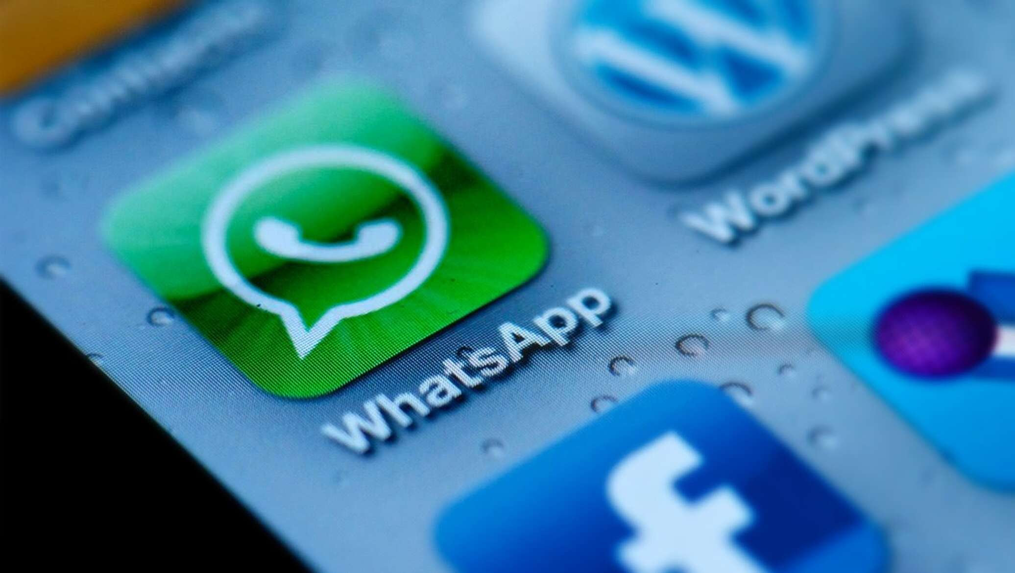 WhatsApp перестал работать: почему не работает Вотсапп