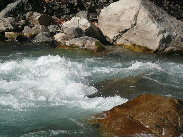 Ҷашнҳои рӯзи 12 январ дар Тоҷикистон ва ҷаҳон   - Sputnik Тоҷикистон