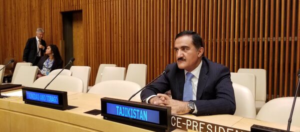 Постоянный представитель РТ при ООН Махмадамин Махмадаминов - Sputnik Тоҷикистон