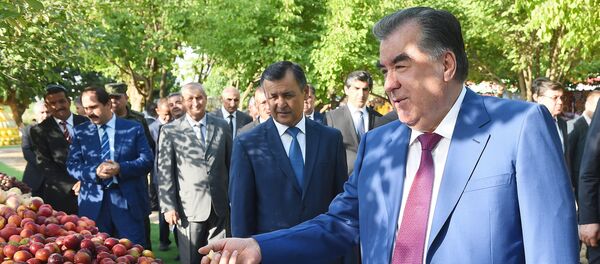 Дар Қубодиён барои раисҷумҳур маҳсулоти кишоварзии ноҳияро ба намоиш гузоштанд - Sputnik Тоҷикистон