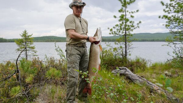 Президент России Владимир Путин во время рыбалки, архивное фото - Sputnik Тоҷикистон