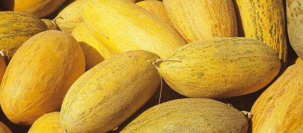 Дыни - Sputnik Таджикистан