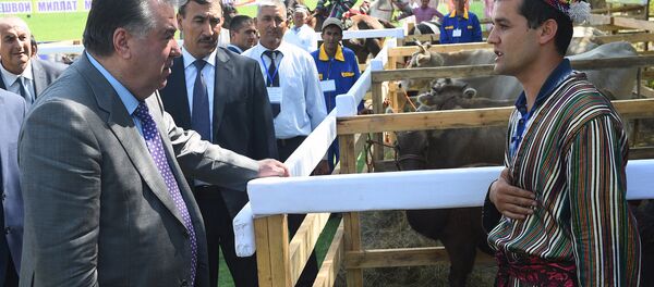 Эмомали Рахмон в Хатлонской области - Sputnik Таджикистан