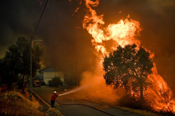 Пожар в Португалии, архивное фото - Sputnik Таджикистан