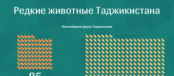 Редкие животные Таджикистана Редкие животные Таджикистана - Sputnik Таджикистан