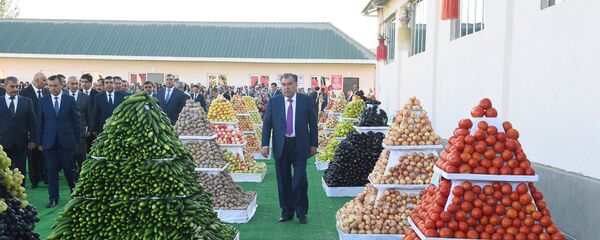 Визит президента Республики Таджикитан в Хатлонскую область - Sputnik Тоҷикистон