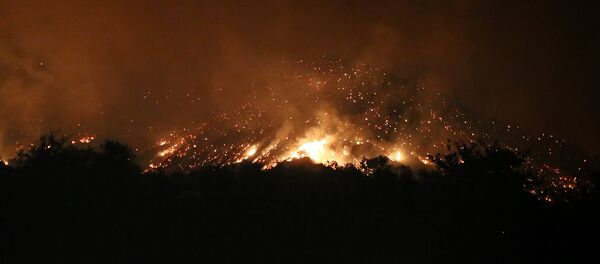 Огненное зарево над Боржоми: очевидцы сняли горящий лес на видео - Sputnik Тоҷикистон