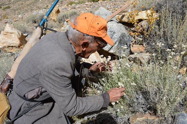 Ширинбек Давлатмамадов ҳангоми чидани гиёҳҳои табобатӣ - Sputnik Тоҷикистон