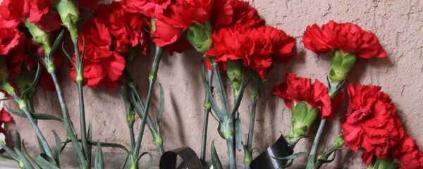 Гвоздика, архивное фото - Sputnik Тоҷикистон