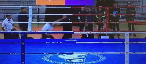 Видео драки между рефери и тренером по боксу набирает просмотры в Сети - Sputnik Таджикистан