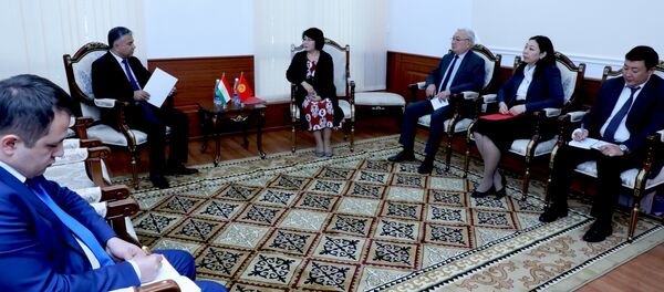 Встреча Посла с Первым заместителем министра иностранных Кыргызстана - Sputnik Тоҷикистон