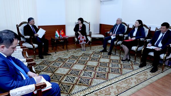 Встреча Посла с Первым заместителем министра иностранных Кыргызстана - Sputnik Тоҷикистон