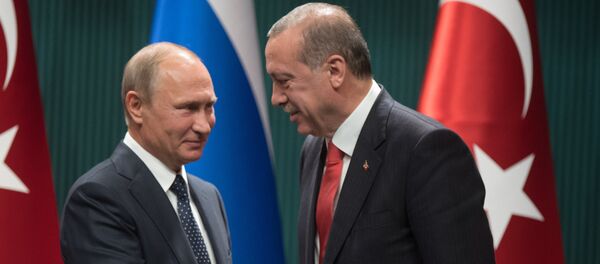 Визит президента РФ В. Путина в Турцию - Sputnik Тоҷикистон