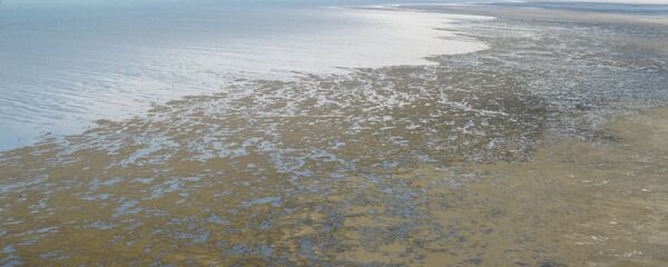 Берег пересыхающего Аральского моря, архивное фото Берег пересыхающего Аральского моря, архивное фото - Sputnik Таджикистан