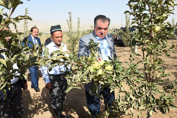 Эмомалӣ Раҳмон дар Хуросон - Sputnik Тоҷикистон