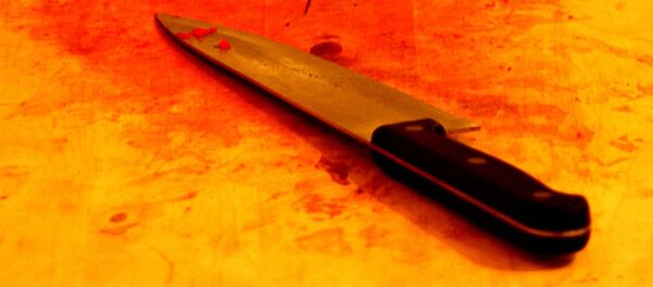 Кухонный нож - Sputnik Таджикистан
