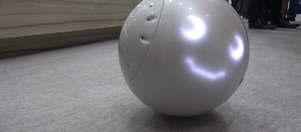 Японский робот для детей - Sputnik Таджикистан