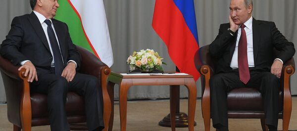 Президент РФ Владимир Путин и президент Узбекистана Шавкат Мирзиеев во время встречи - Sputnik Таджикистан
