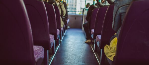 В салоне автобуса, архивное фото - Sputnik Таджикистан