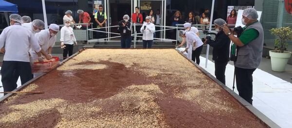 Самые большие торт и плитка шоколада для Книги рекордов Гиннесса Самые большие торт и плитка шоколада для Книги рекордов Гиннесса - Sputnik Таджикистан