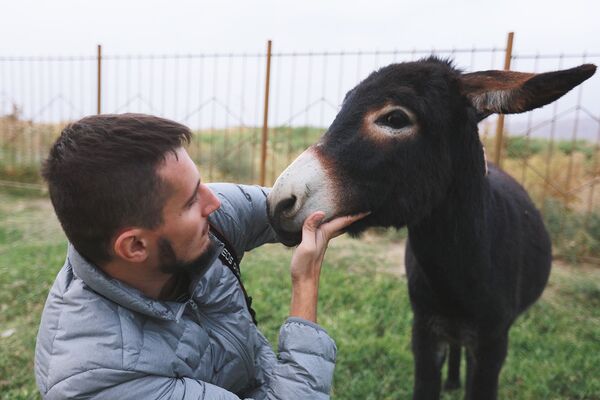 Осел в селении близ Саразма, Таджикистан - Sputnik Таджикистан