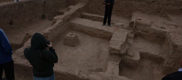 Раскопки на месте древнего города Саразма  - Sputnik Тоҷикистон