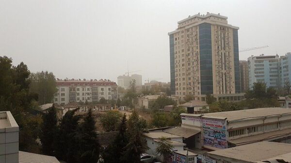 Пыльная буря в Душанбе, архивное фото - Sputnik Таджикистан