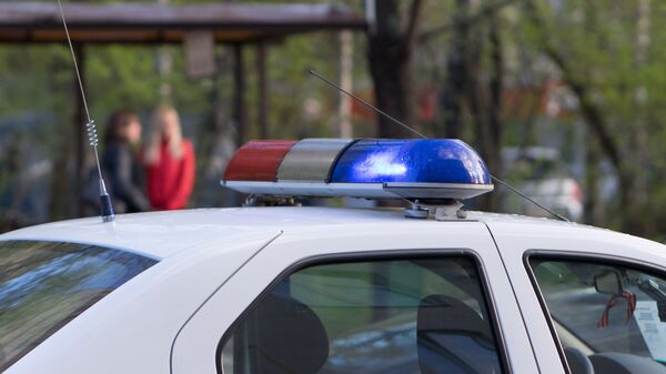 Полицейский сине-красный маячок, архивное фото  - Sputnik Тоҷикистон