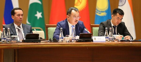 Замдиректора Исполкома РАТС ШОС Ахат Мукашев - Sputnik Таджикистан