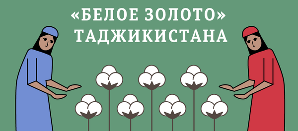 Сбор хлопка в Таджикистане 2017 - Sputnik Таджикистан