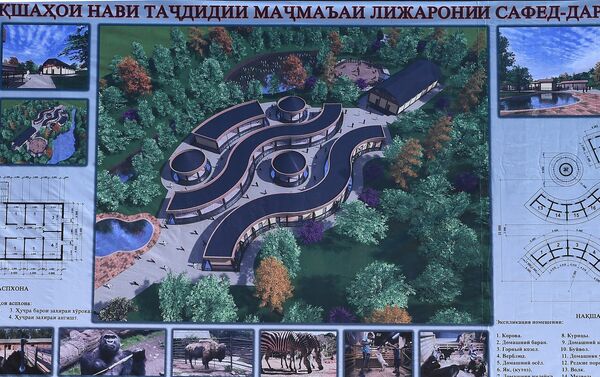 Проекты строительства современного транспортного терминала, реконструкции озера Варзоб - Sputnik Таджикистан