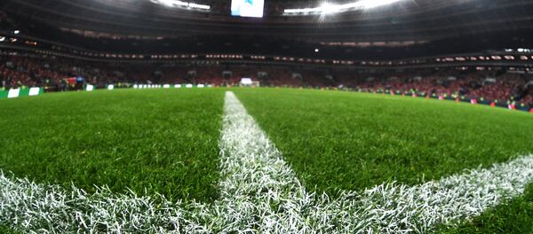 Футбол. Товарищеский матч. Россия - Аргентина, архивное фото Футбол. Товарищеский матч. Россия - Аргентина, архивное фото - Sputnik Таджикистан