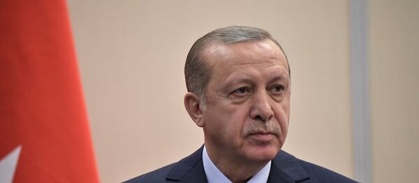 Президент Турции Реджеп Тайип Эрдоган, архивное фото Президент Турции Реджеп Тайип Эрдоган, архивное фото - Sputnik Тоҷикистон