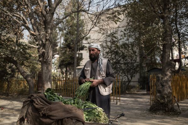 Мужчина продает зелень во дворе дома одного из районов Кабула - Sputnik Таджикистан