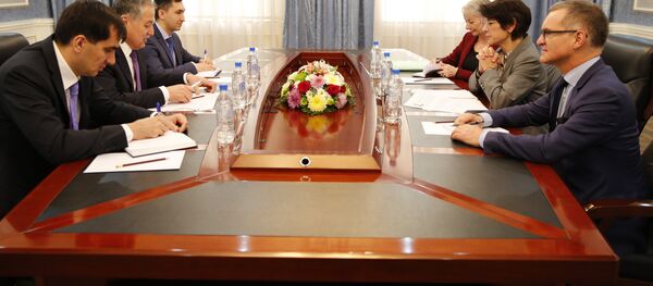 Встреча с Директором Департамента Континентальной Европы Министерства иностранных и европейских дел Франции - Sputnik Тоҷикистон